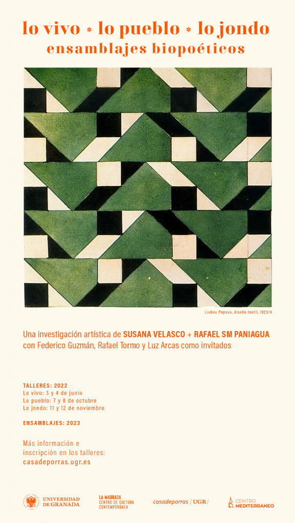 Cartel donde se resume la información que aparece en la web con una fotografía de un grabado de diseño textil con formas geométricas de colores negro, blanco y verde militar
